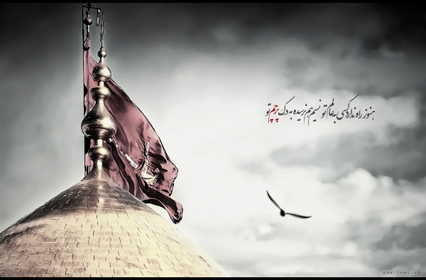 عکس زیبا از گنبد امام حسین - HQ