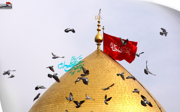 عکس زیبای گنبد حضرت عباس و کبوتران