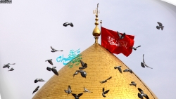 عکس زیبای گنبد حضرت عباس و کبوتران